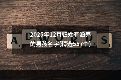 2025年12月归姓有涵养的男孩名字(精选557个)
