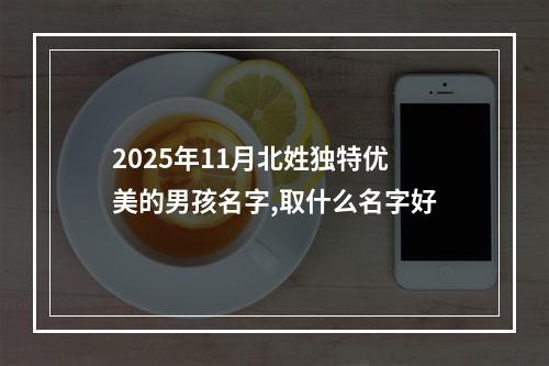 2025年11月北姓独特优美的男孩名字,取什么名字好