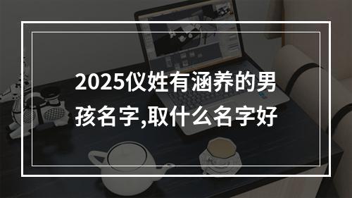2025仪姓有涵养的男孩名字,取什么名字好