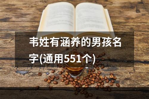 韦姓有涵养的男孩名字(通用551个)