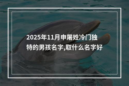 2025年11月申屠姓冷门独特的男孩名字,取什么名字好
