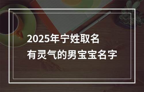 2025年宁姓取名有灵气的男宝宝名字