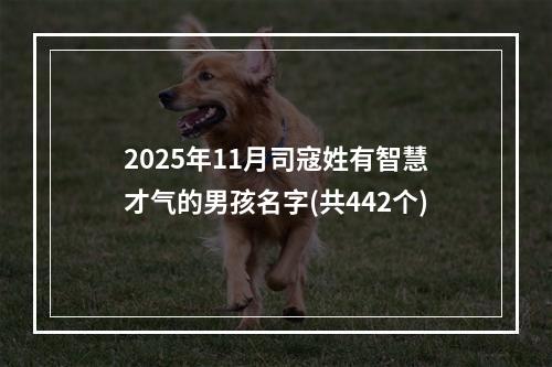 2025年11月司寇姓有智慧才气的男孩名字(共442个)