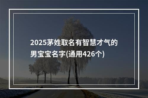 2025茅姓取名有智慧才气的男宝宝名字(通用426个)