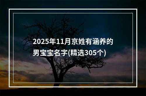 2025年11月京姓有涵养的男宝宝名字(精选305个)