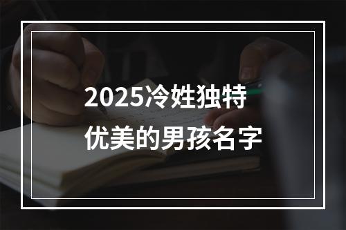 2025冷姓独特优美的男孩名字