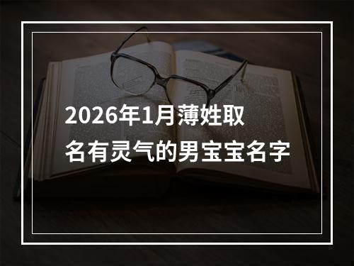 2026年1月薄姓取名有灵气的男宝宝名字