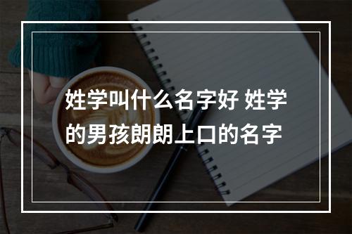 姓学叫什么名字好 姓学的男孩朗朗上口的名字