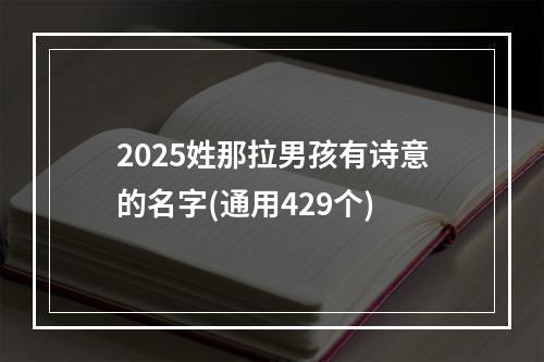 2025姓那拉男孩有诗意的名字(通用429个)
