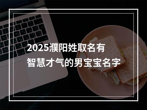 2025濮阳姓取名有智慧才气的男宝宝名字