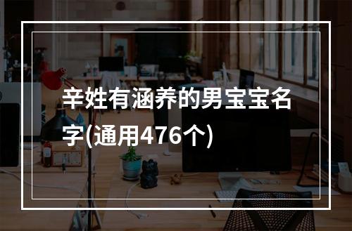 辛姓有涵养的男宝宝名字(通用476个)