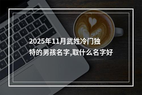 2025年11月武姓冷门独特的男孩名字,取什么名字好