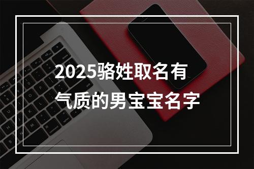2025骆姓取名有气质的男宝宝名字