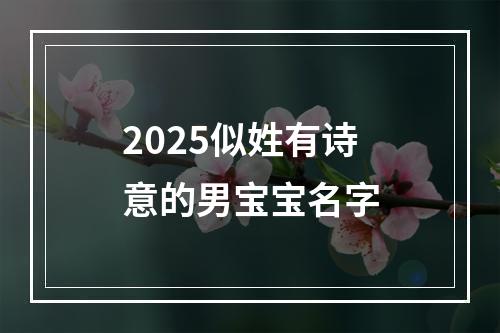 2025似姓有诗意的男宝宝名字