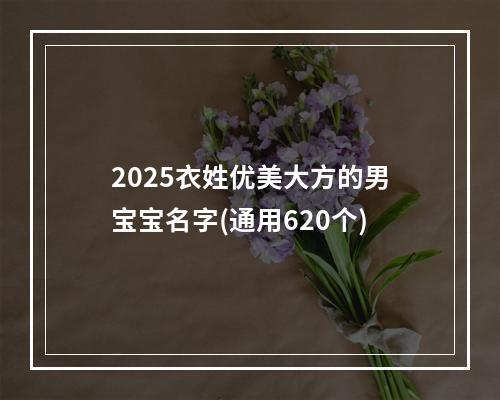 2025衣姓优美大方的男宝宝名字(通用620个)