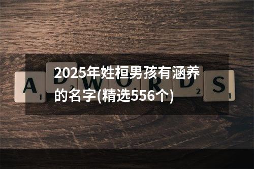 2025年姓桓男孩有涵养的名字(精选556个)