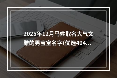 2025年12月马姓取名大气文雅的男宝宝名字(优选494个)