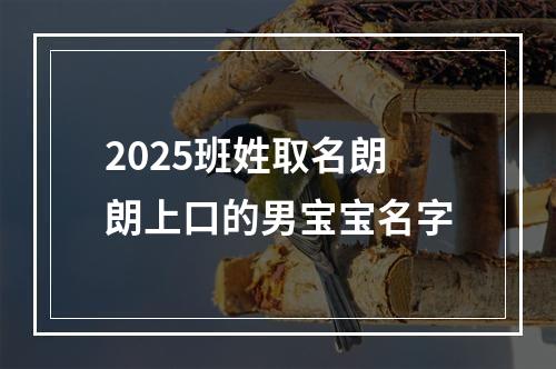 2025班姓取名朗朗上口的男宝宝名字