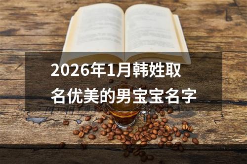 2026年1月韩姓取名优美的男宝宝名字