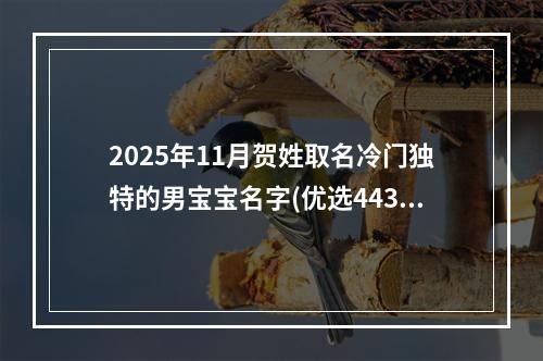 2025年11月贺姓取名冷门独特的男宝宝名字(优选443个)