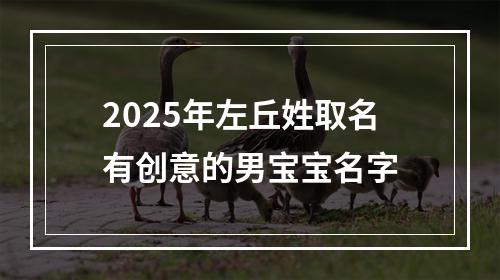2025年左丘姓取名有创意的男宝宝名字
