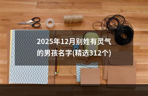2025年12月别姓有灵气的男孩名字(精选312个)