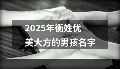 2025年衡姓优美大方的男孩名字
