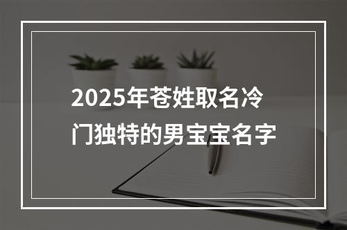 2025年苍姓取名冷门独特的男宝宝名字