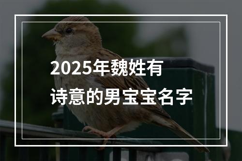 2025年魏姓有诗意的男宝宝名字