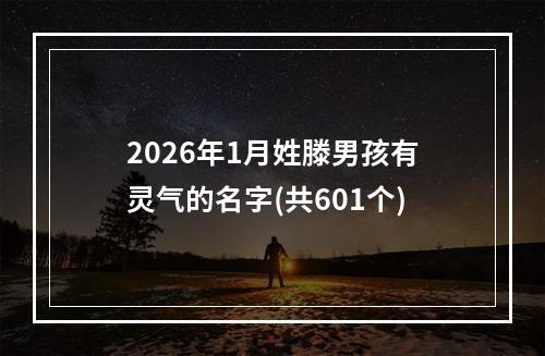 2026年1月姓滕男孩有灵气的名字(共601个)