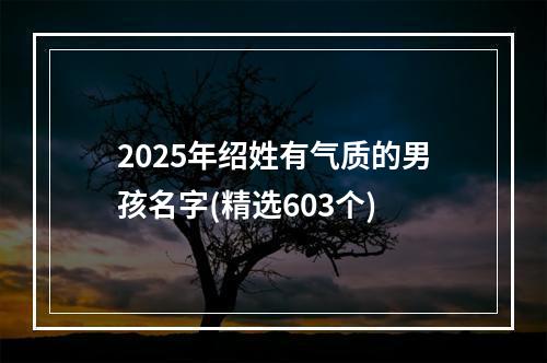 2025年绍姓有气质的男孩名字(精选603个)