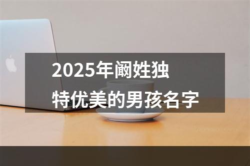 2025年阚姓独特优美的男孩名字