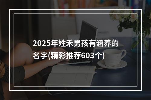 2025年姓禾男孩有涵养的名字(精彩推荐603个)