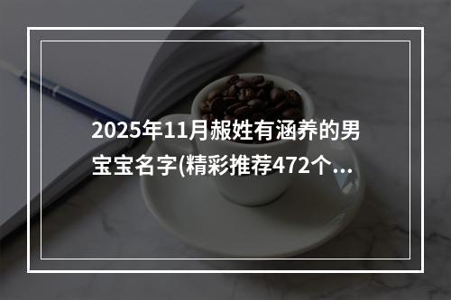 2025年11月赧姓有涵养的男宝宝名字(精彩推荐472个)