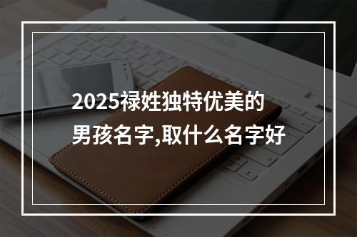 2025禄姓独特优美的男孩名字,取什么名字好