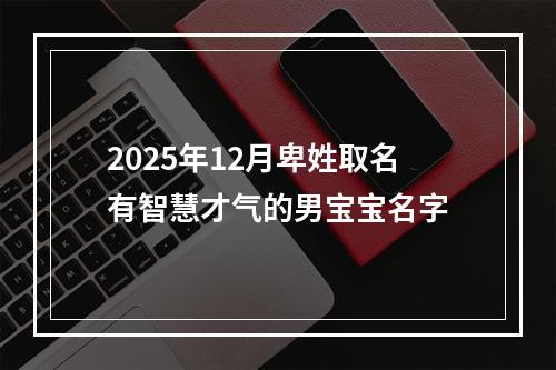 2025年12月卑姓取名有智慧才气的男宝宝名字