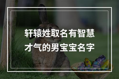 轩辕姓取名有智慧才气的男宝宝名字