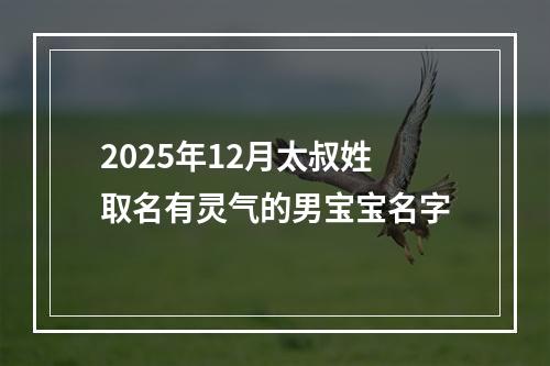 2025年12月太叔姓取名有灵气的男宝宝名字