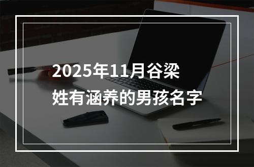2025年11月谷梁姓有涵养的男孩名字