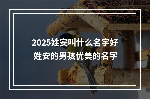 2025姓安叫什么名字好 姓安的男孩优美的名字