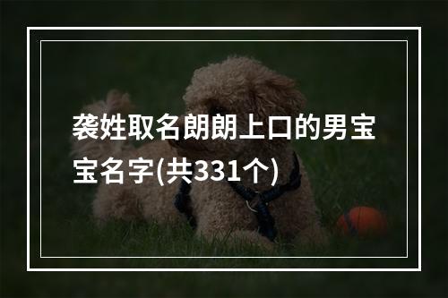 袭姓取名朗朗上口的男宝宝名字(共331个)