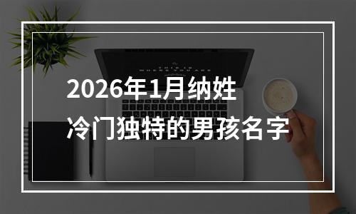 2026年1月纳姓冷门独特的男孩名字