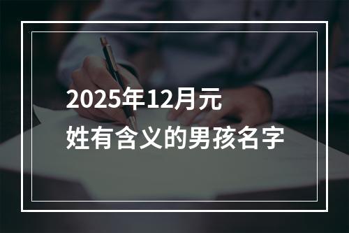 2025年12月元姓有含义的男孩名字