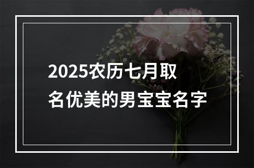 2025农历七月取名优美的男宝宝名字