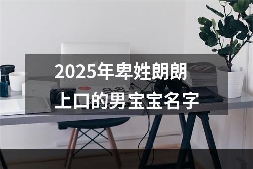 2025年卑姓朗朗上口的男宝宝名字