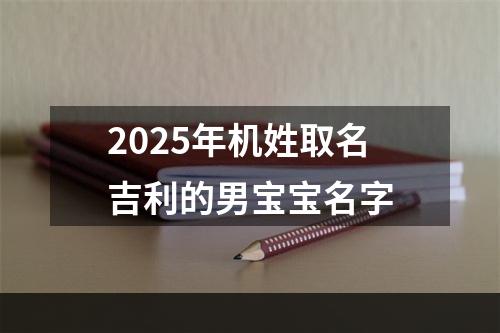 2025年机姓取名吉利的男宝宝名字