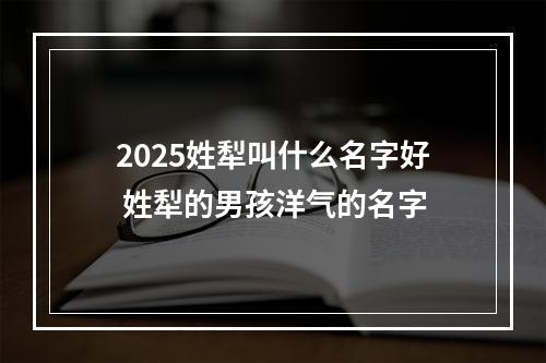 2025姓犁叫什么名字好 姓犁的男孩洋气的名字