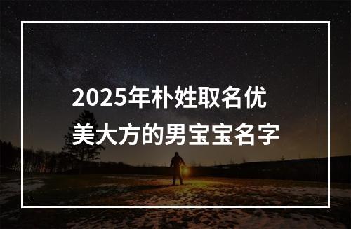 2025年朴姓取名优美大方的男宝宝名字