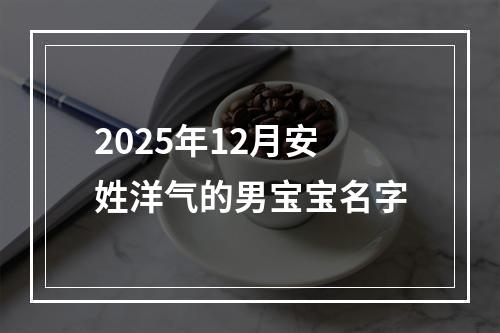 2025年12月安姓洋气的男宝宝名字