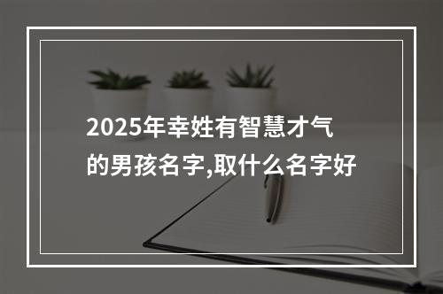 2025年幸姓有智慧才气的男孩名字,取什么名字好